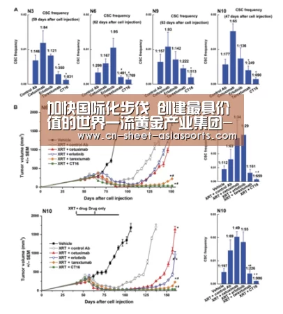 亚新体育App下载