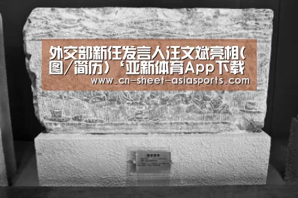 亚新体育App下载