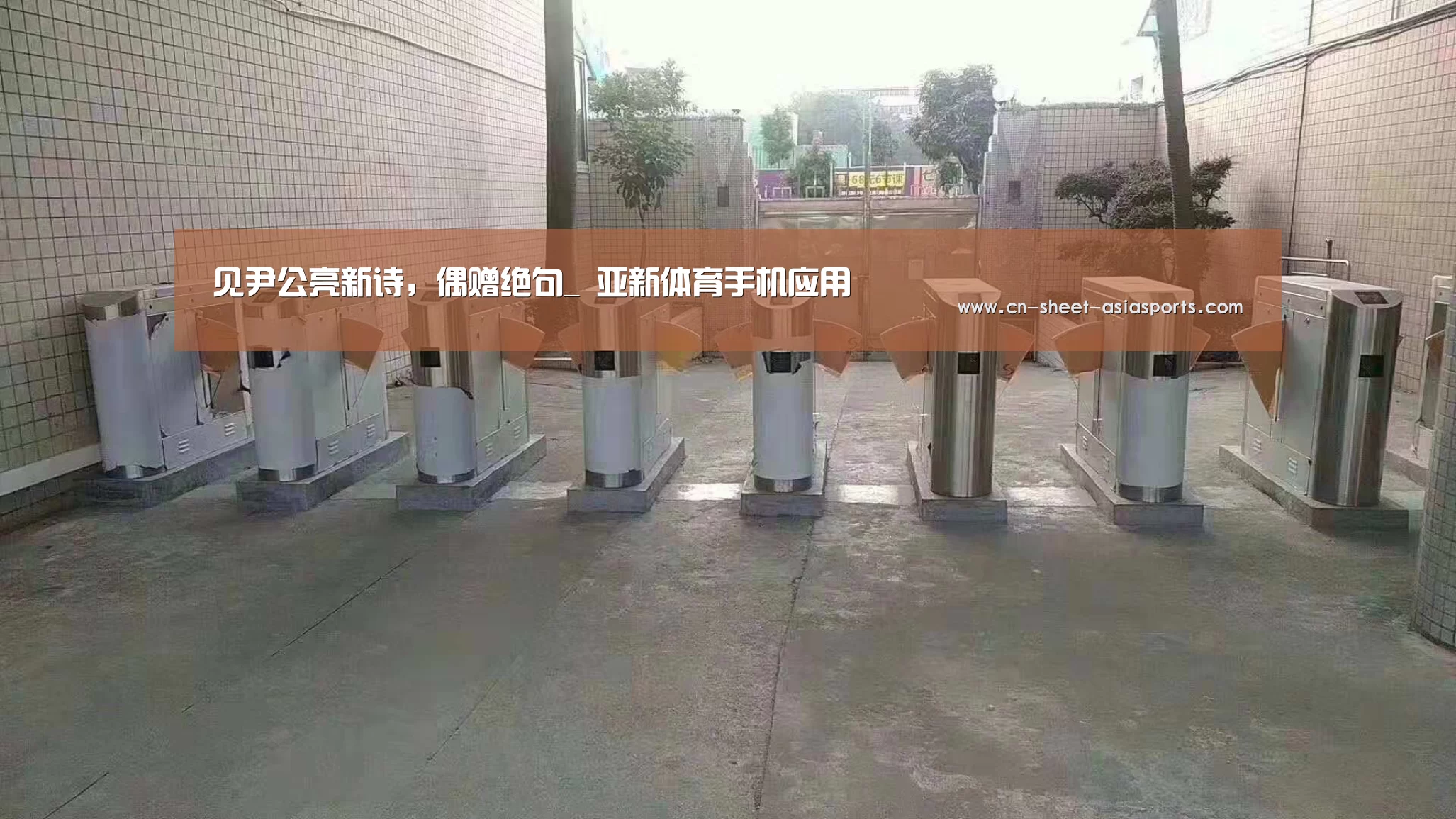 亚新体育App下载