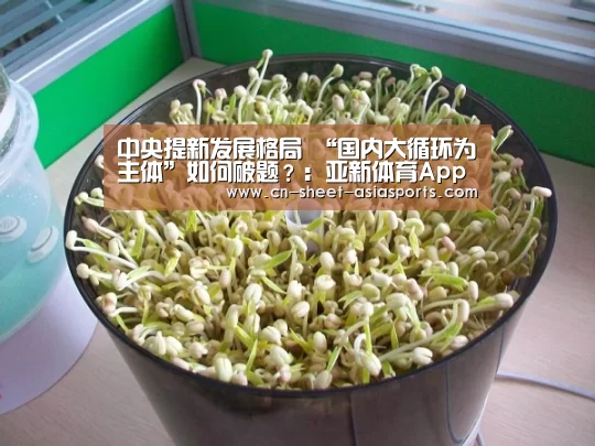  亚新体育手机应用