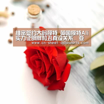  亚新体育手机应用